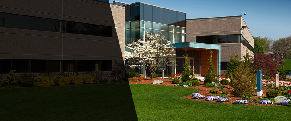 Port Crane Landscapers