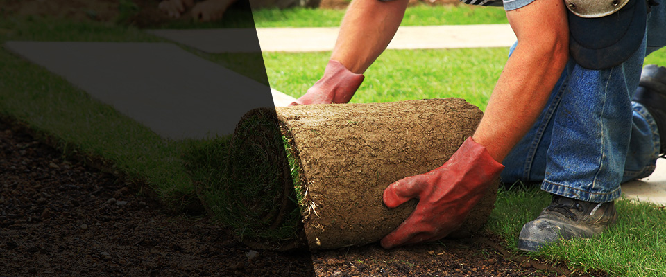 Port Crane Landscapers